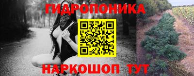 винт Можга