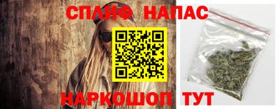 сатива Нарткала