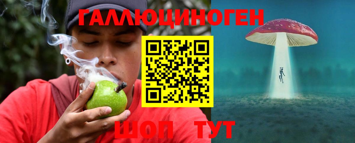 Галлюциногенные грибы мухоморы Усть-Джегута