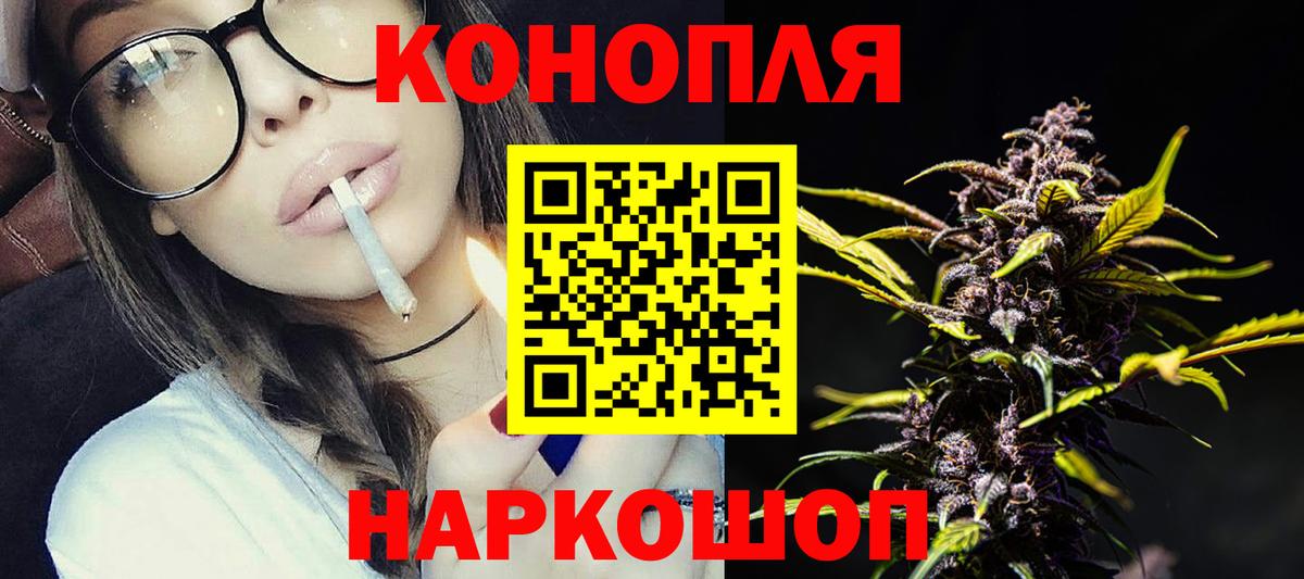 Конопля гибрид  Вход с VPN  Усть-Джегута  Бошки Шишки семена  Марихуана индика  Каннабис конопля 